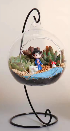 Terrarium Workshop